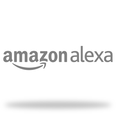 Licensed Amazon Alexa Partner Michigan