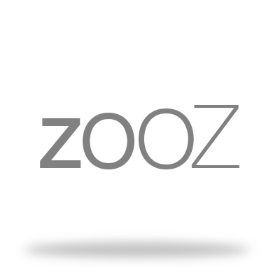 Authorized Zooz Installer Michigan